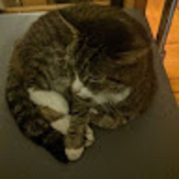 Meet your Posher, Jordan - Picture 1 of 1